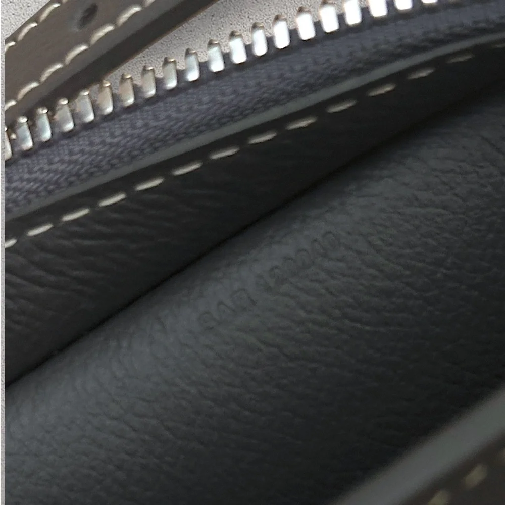 Goyard Hirondelle Limited Stripe Bag - Picture 10 of 12